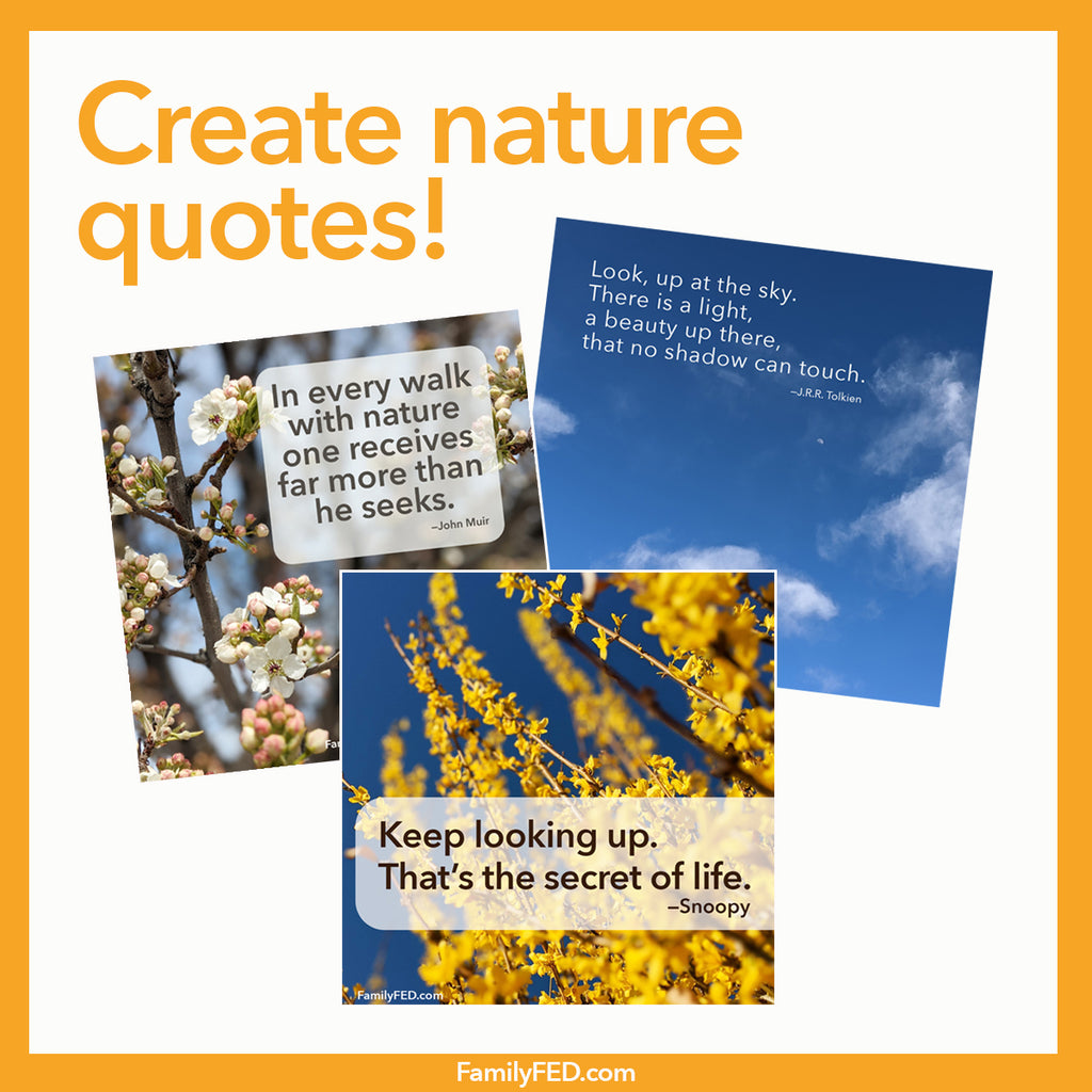 Photograph Nature and Pair It with a Calming Quote—a Sunday Service Idea for Earth Week