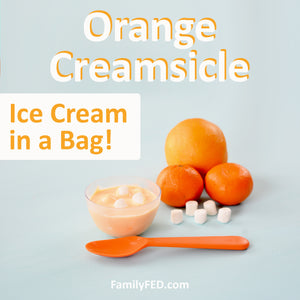 Orange-Creamsicle Recipe for Ice Cream in a Bag